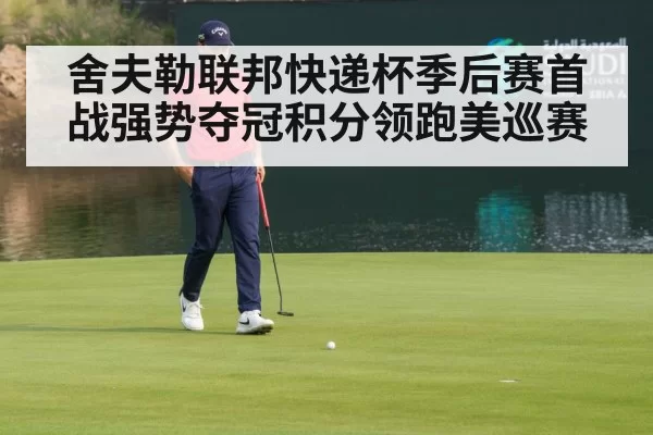 舍夫勒联邦快递杯季后赛首战强势夺冠积分领跑美巡赛